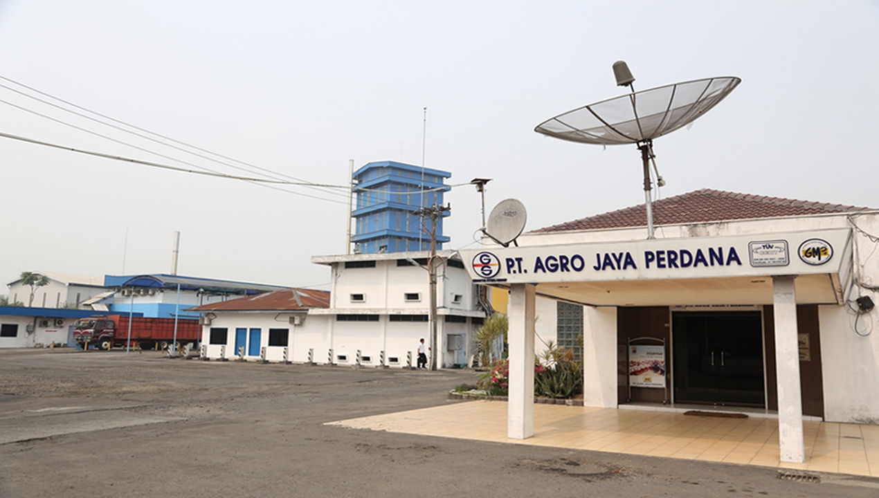 Oil Palm Plantation Sector